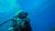 Inmersión guiada en Pichidangui o Los Molles: Vive el buceo en Chile