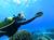 Buceo en el mundo submarino de Rapa Nui para buzos Certificados