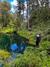 Canopy en Puerto Varas: Aventura en la Laguna Espejo y su Bosque Nativo