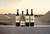 Cata Premium The New Wines en Concha y Toro: Vinos y Maridaje