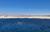 Vive el Salar de Atacama: Laguna Cejar y su Belleza Turquesa