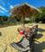 Excursión de Día Completo desde Santiago al Parque Tricao
