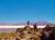 Ruta Altiplánica: Salar de Surire y Termas de Polloquere