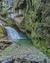 Sendero Verde en Aysén: Un Viaje entre Bosques y Cascadas