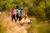 Parque Ludiano by OUTLIFE: Ticket diario para trekking en Quillota