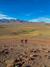 Explora el Volcán Tatio Sur: Trekking de Alta Montaña desde San Pedro de Atacama
