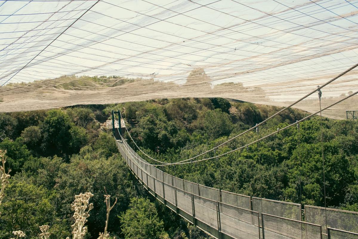 Parque Tricao: cómo llegar, horario, consejos y más