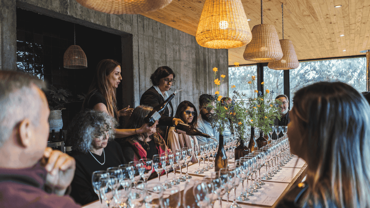 Tour Día de Campo por Viña Prado