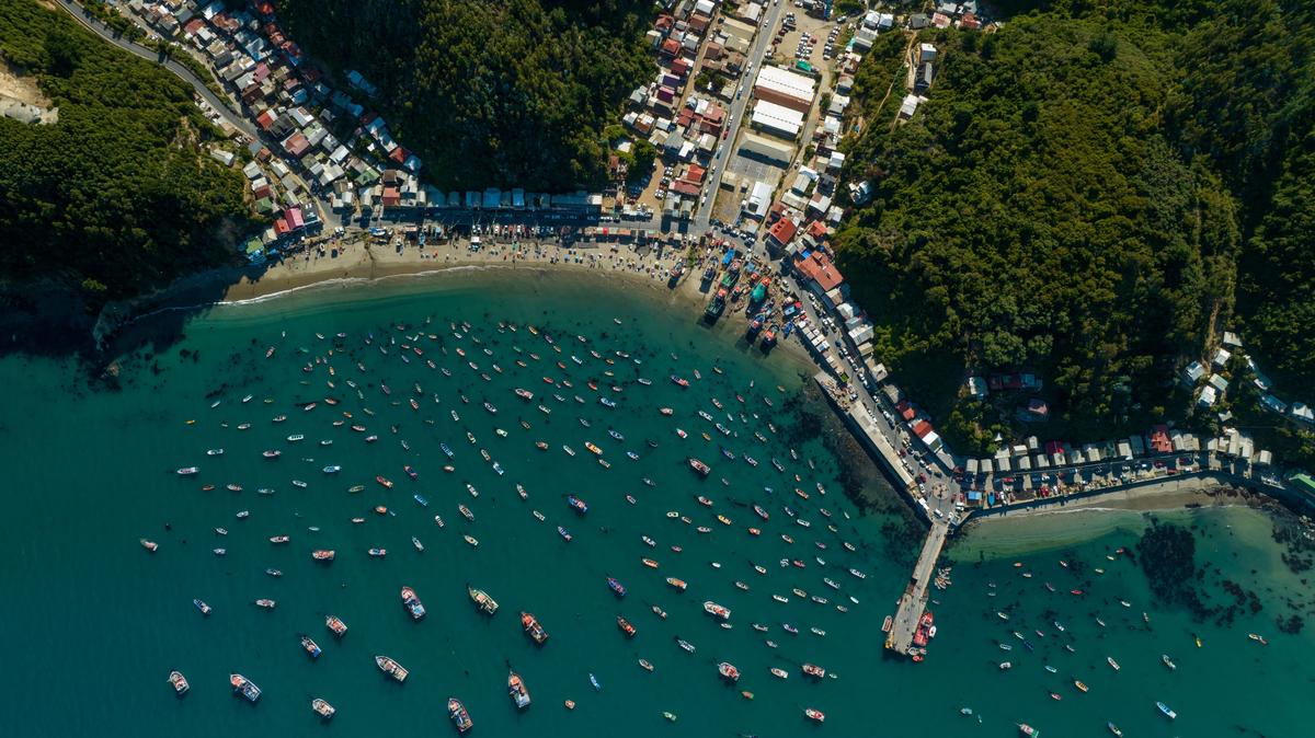 Qué hacer en Concepción