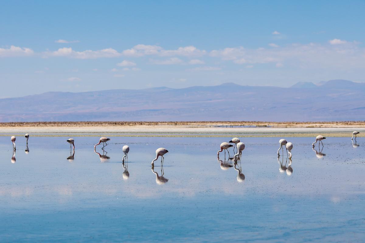 San Pedro de Atacama